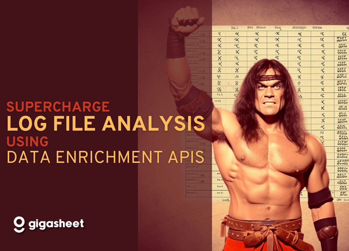 Supercharge Log File Analysis Unleash the Power of Data Enrichment APIs